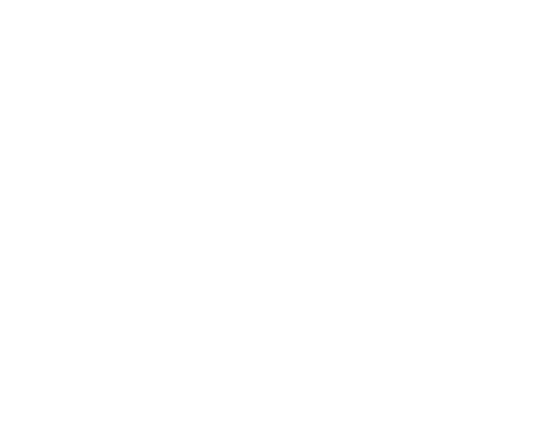 Dopravní podnik hl. m. Prahy